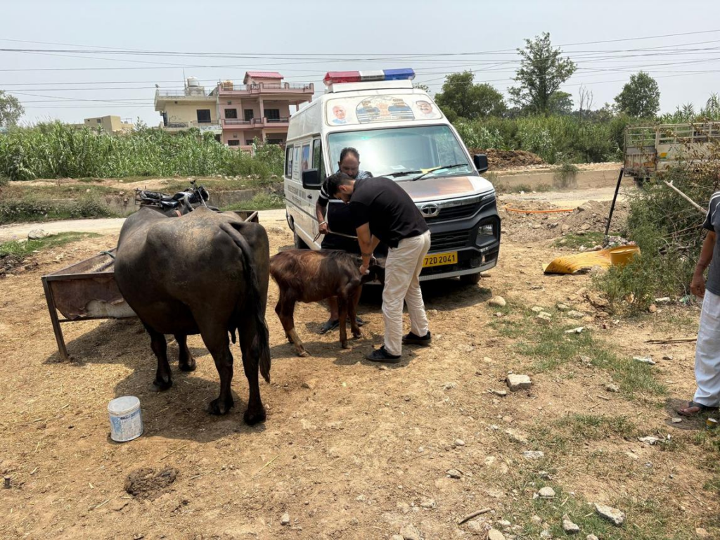 Doorstep Veterinary Services To Modernize Animal Health Across Every Haryana Village